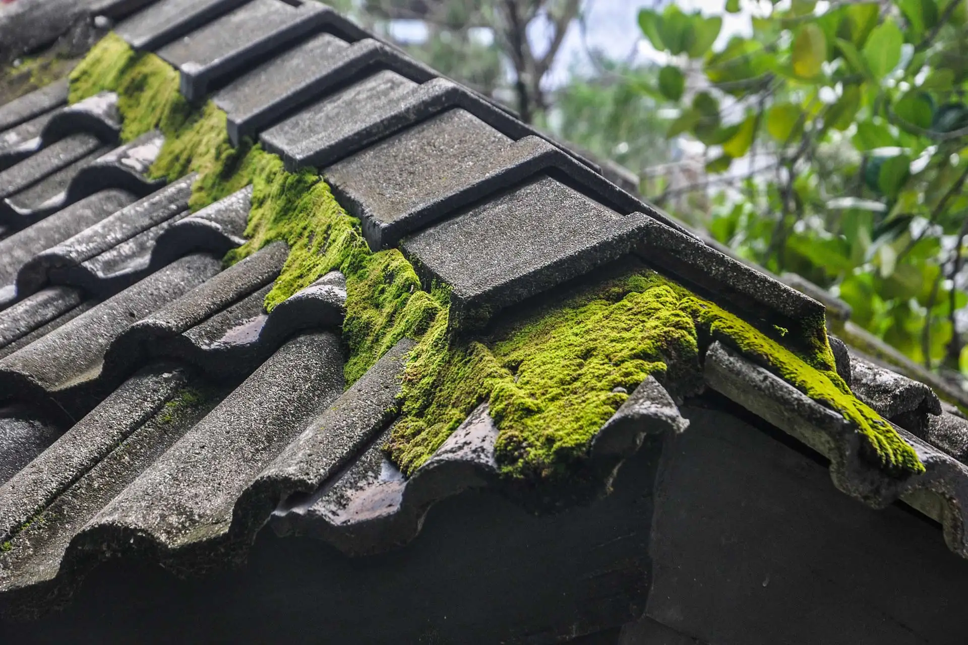 Roof Cleaning roofing installation 2