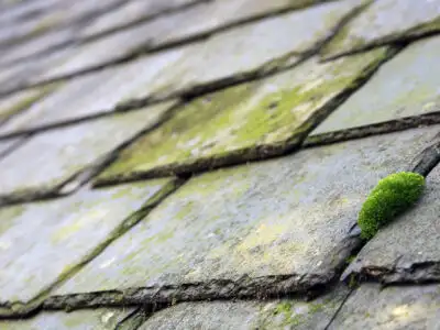 Roof Cleaning roofing installation 5